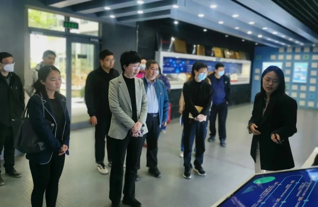 �������ǲ�-������ʱ�й�����