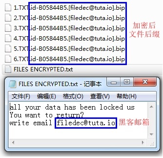 �������ǲ�-������ʱ�й�����