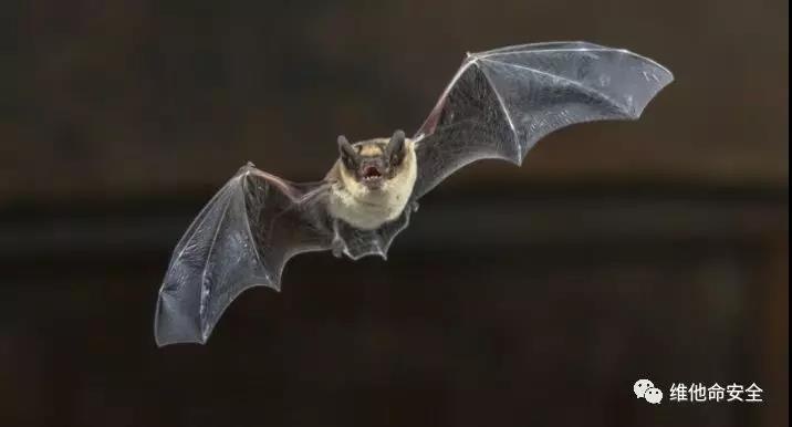 �������ǲ�-������ʱ�й�����