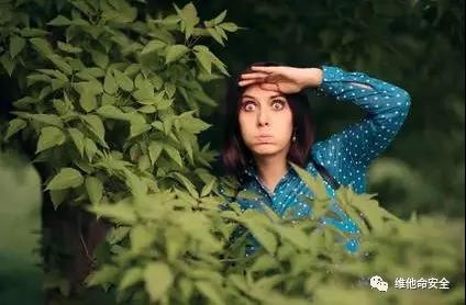 �������ǲ�-������ʱ�й�����