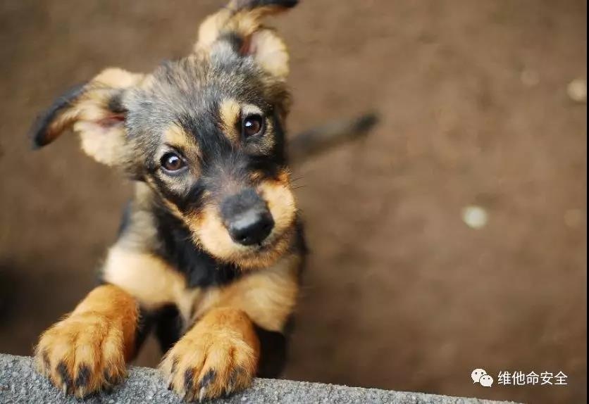 �������ǲ�-������ʱ�й�����