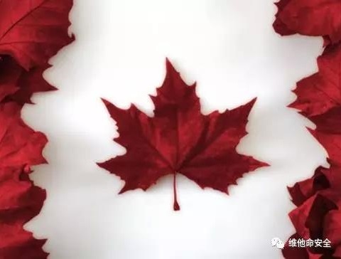 �������ǲ�-������ʱ�й�����