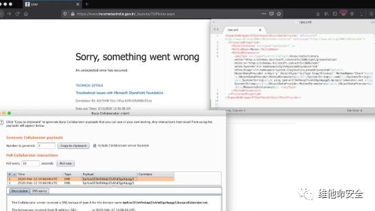 �������ǲ�-������ʱ�й�����