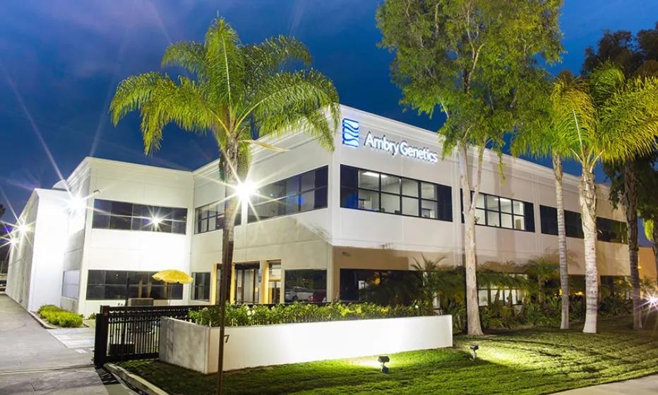 �������ǲ�-������ʱ�й�����