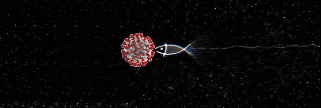 �������ǲ�-������ʱ�й�����