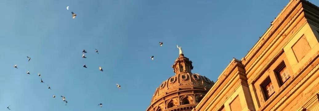 �������ǲ�-������ʱ�й�����